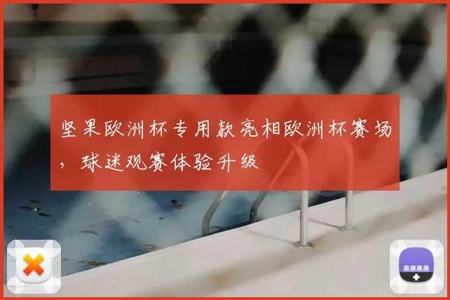 坚果欧洲杯专用款亮相欧洲杯赛场,球迷观赛体验升级