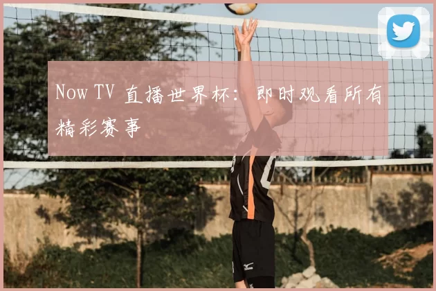 Now TV 直播世界杯:即时观看所有精彩赛事