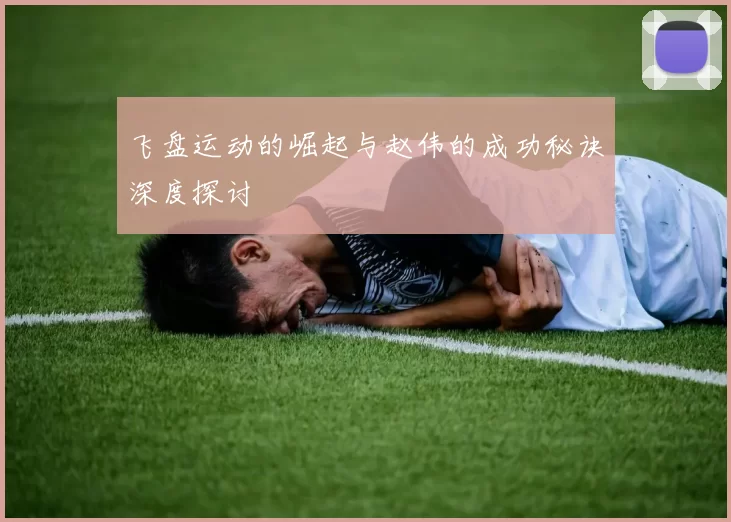飞盘运动的崛起与赵伟的成功秘诀深度探讨