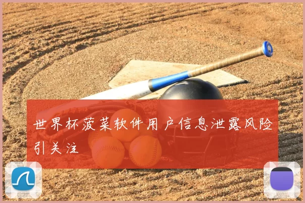 世界杯菠菜软件用户信息泄露风险引关注
