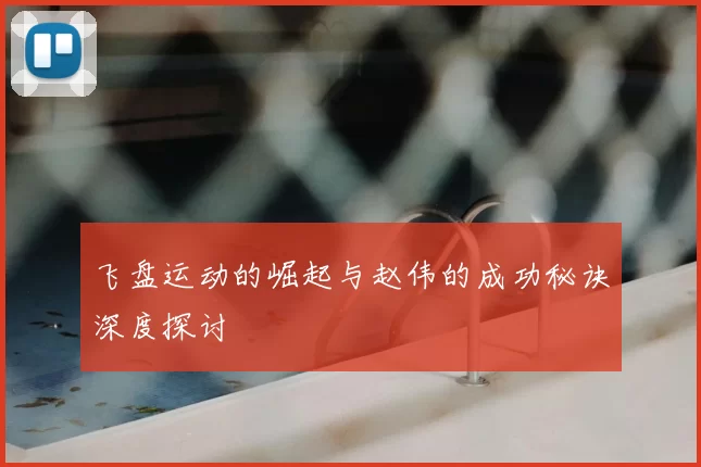 飞盘运动的崛起与赵伟的成功秘诀深度探讨