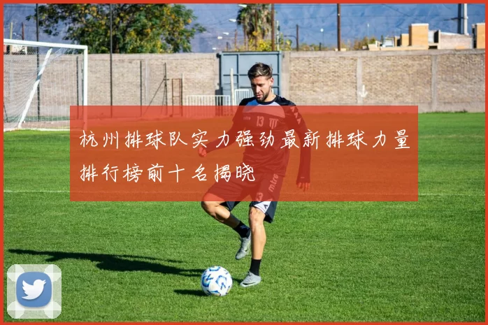 杭州排球队实力强劲最新排球力量排行榜前十名揭晓